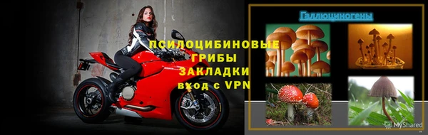 твердый Аркадак