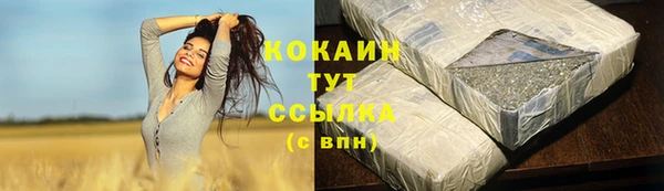 твердый Аркадак