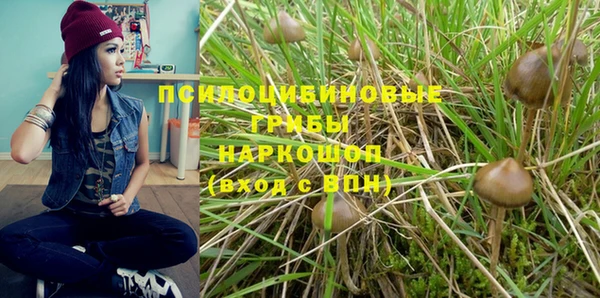 твердый Аркадак