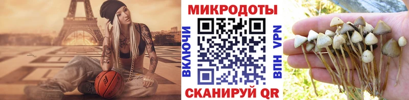 Галлюциногенные грибы мухоморы  Нововоронеж 
