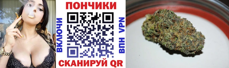 как найти закладки  Нововоронеж  Канабис THC 21% 